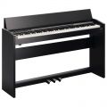 ROLAND F-120 SB